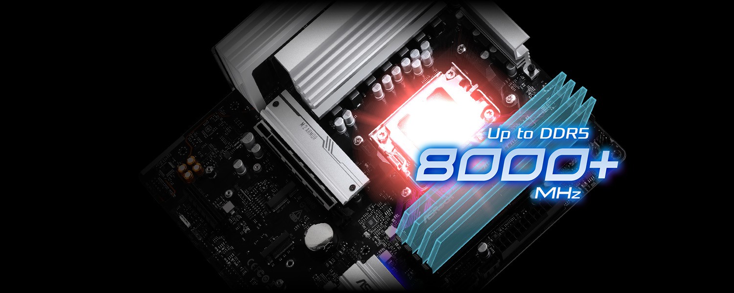 DDR5 XMP & EXPO Support